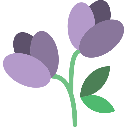 DOM Trust Logo